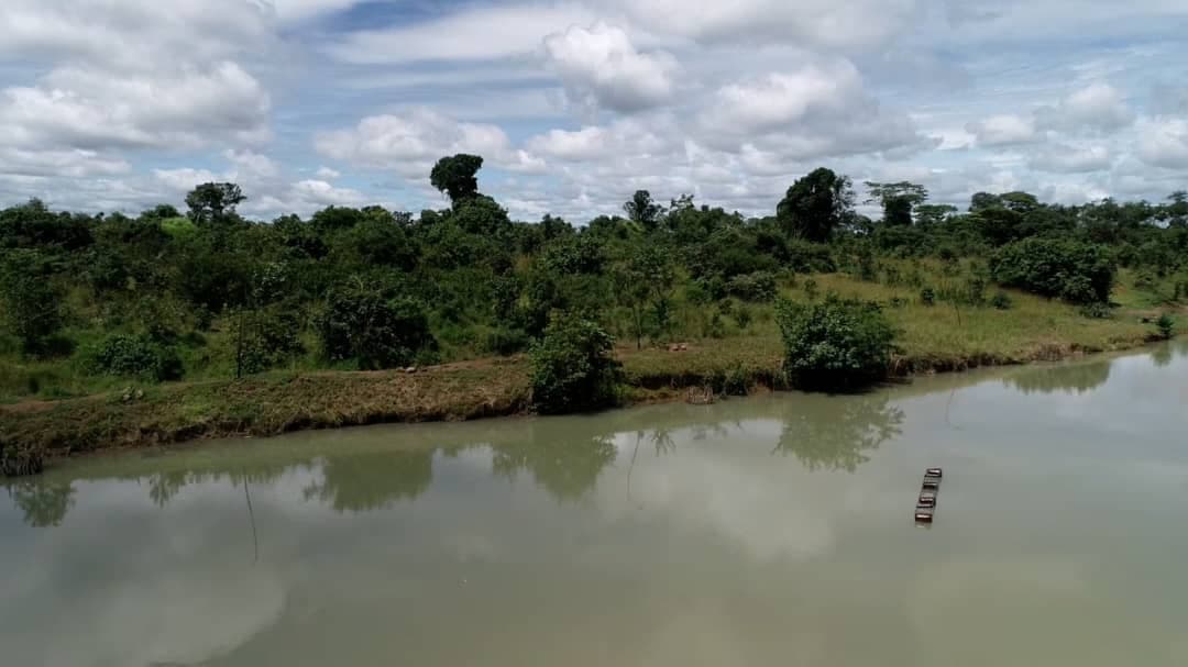 Ferme de 2 600 hectares avec bétail — route de Kasenga, 70 km de Lubumbashi