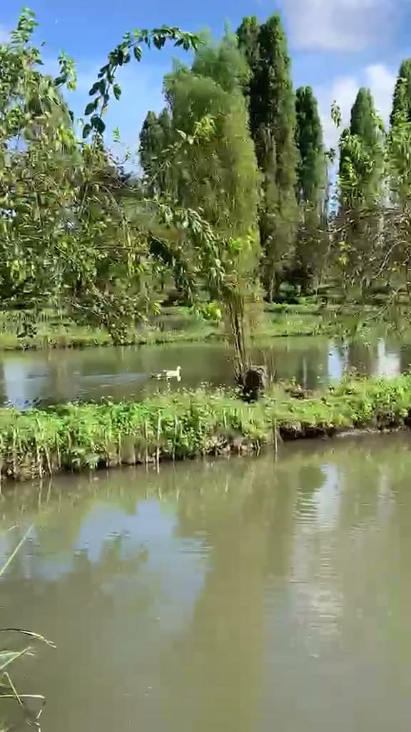 Ferme de 15 hectares avec étangs piscicoles — route de Kasenga, Lubumbashi - Image 1